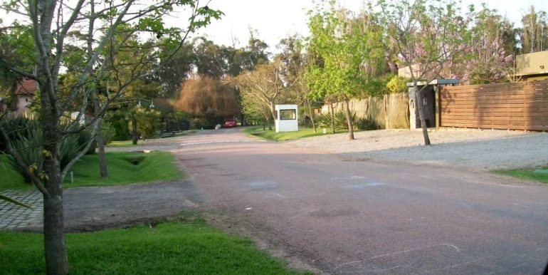 Country LA 047 (1)